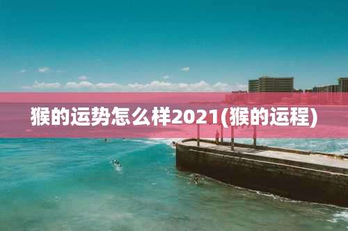 猴的运势怎么样2021(猴的运程)