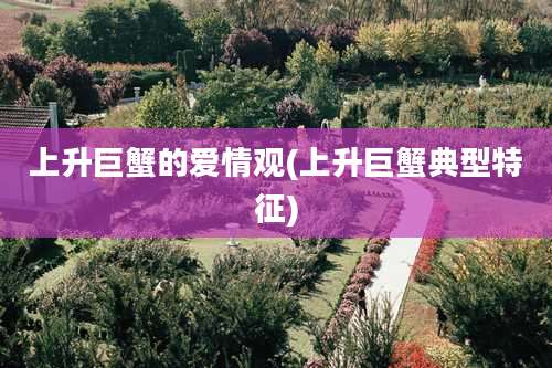 上升巨蟹的爱情观(上升巨蟹典型特征)