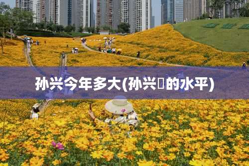 孙兴今年多大(孙兴慜的水平)