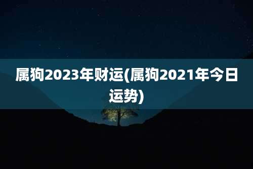 属狗2023年财运(属狗2021年今日运势)
