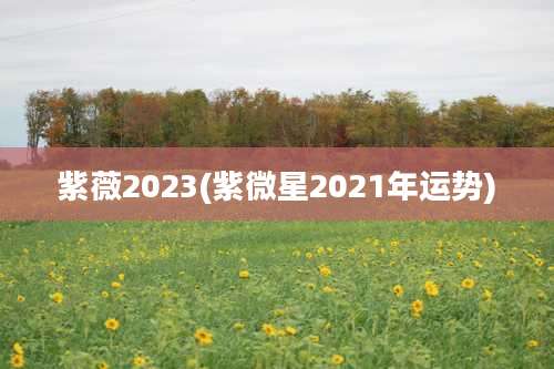 紫薇2023(紫微星2021年运势)