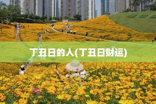 丁丑日的人(丁丑日财运)