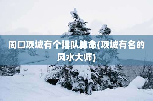 周口项城有个排队算命(项城有名的风水大师)