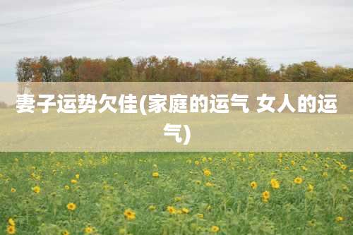 妻子运势欠佳(家庭的运气 女人的运气)