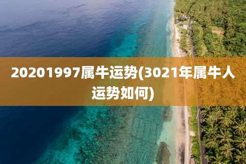20201997属牛运势(3021年属牛人运势如何)