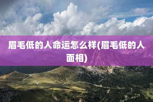 眉毛低的人命运怎么样(眉毛低的人面相)