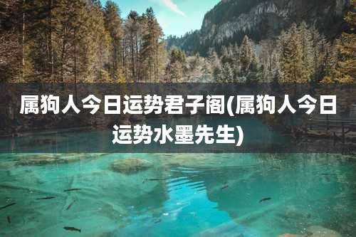 属狗人今日运势君子阁(属狗人今日运势水墨先生)