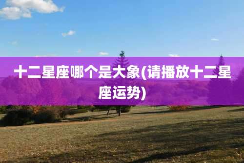 十二星座哪个是大象(请播放十二星座运势)