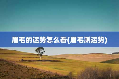 眉毛的运势怎么看(眉毛测运势)