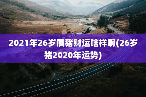 2021年26岁属猪财运啥样啊(26岁猪2020年运势)