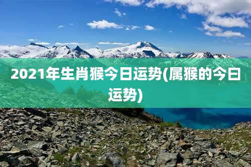 2021年生肖猴今日运势(属猴的今曰运势)
