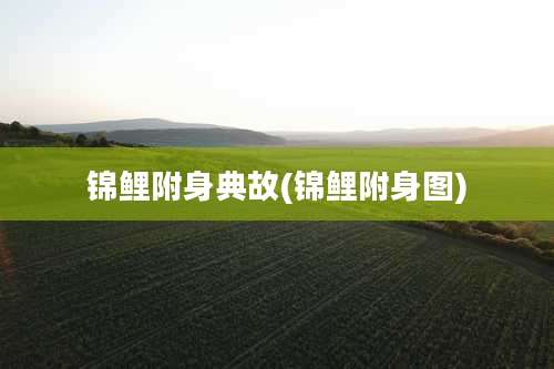 锦鲤附身典故(锦鲤附身图)