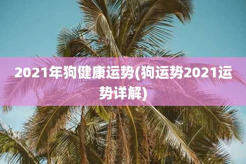 2021年狗健康运势(狗运势2021运势详解)