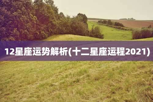12星座运势解析(十二星座运程2021)