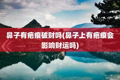 鼻子有疤痕破财吗(鼻子上有疤痕会影响财运吗)