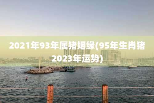 2021年93年属猪姻缘(95年生肖猪2023年运势)