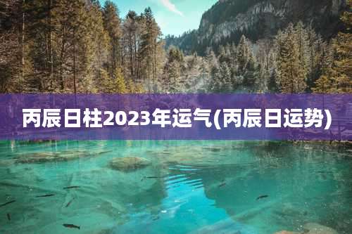 丙辰日柱2023年运气(丙辰日运势)