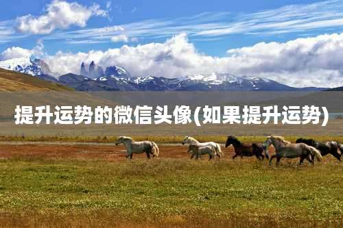 提升运势的微信头像(如果提升运势)