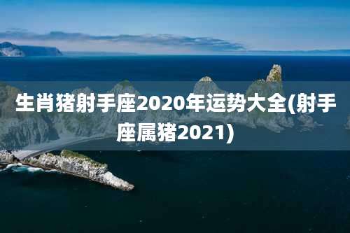 生肖猪射手座2020年运势大全(射手座属猪2021)
