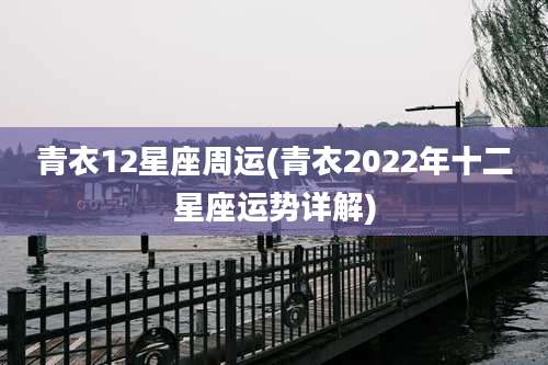 青衣12星座周运(青衣2022年十二星座运势详解)