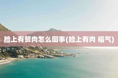 脸上有赘肉怎么回事(脸上有肉 福气)