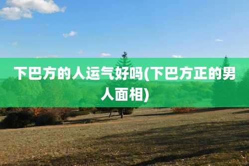 下巴方的人运气好吗(下巴方正的男人面相)