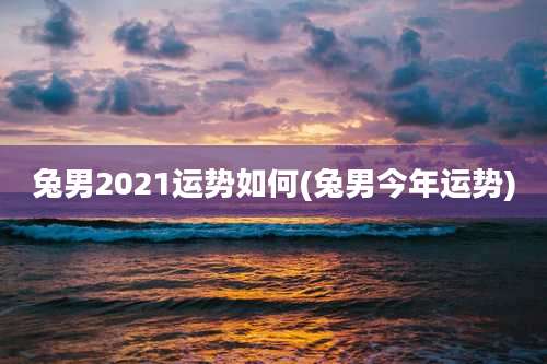 兔男2021运势如何(兔男今年运势)