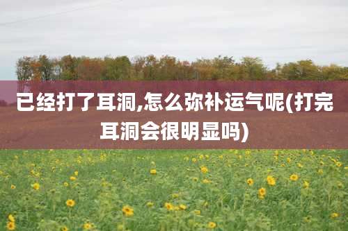 已经打了耳洞,怎么弥补运气呢(打完耳洞会很明显吗)
