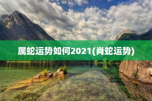 属蛇运势如何2021(肖蛇运势)