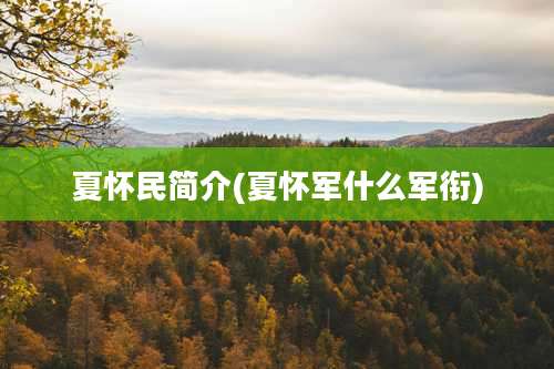 夏怀民简介(夏怀军什么军衔)