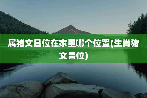 属猪文昌位在家里哪个位置(生肖猪文昌位)