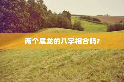 两个属龙的八字相合吗?