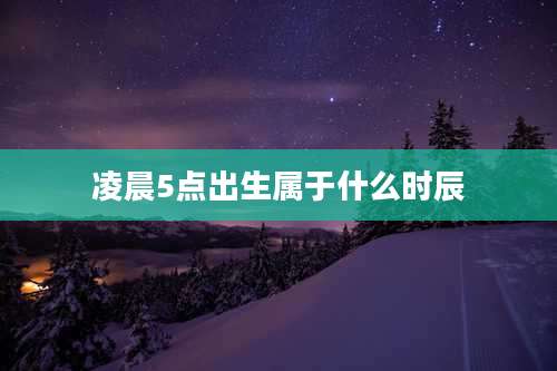 凌晨5点出生属于什么时辰