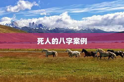 死人的八字案例
