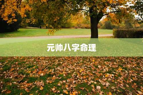 元帅八字命理